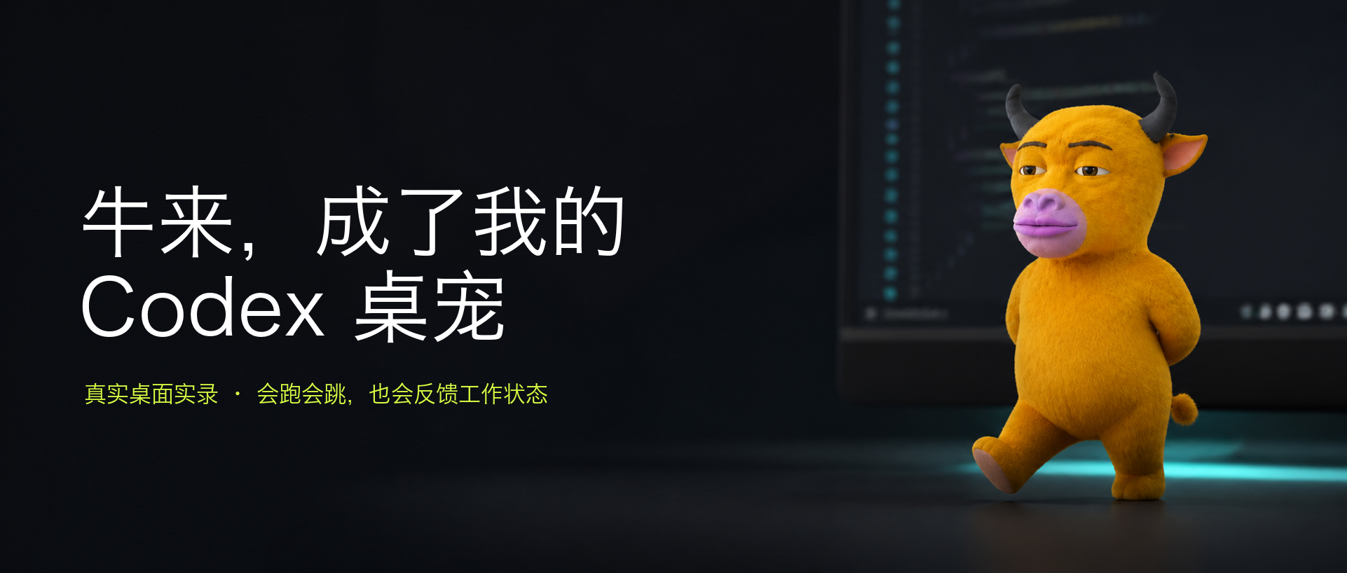 我把《牛来》做成了会跑会跳的 Codex 桌宠